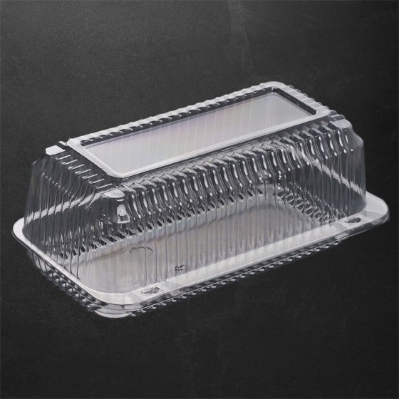 232x116x87mm Plastikinė dėžutė stačiakampė