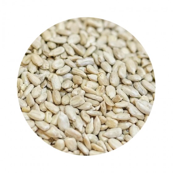 Saulėgrąžų sėklos