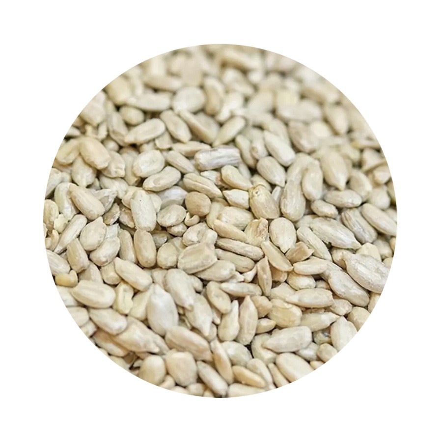 Saulėgrąžų sėklos