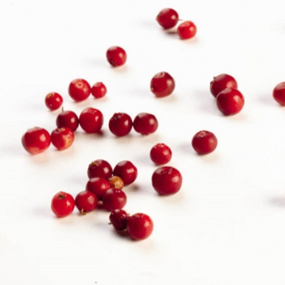 Pohlatäidis 60% BakerPro