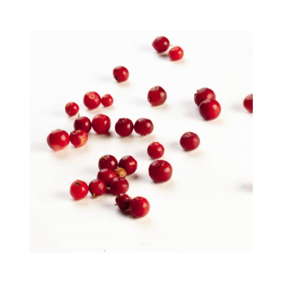 Pohlatäidis 60% BakerPro